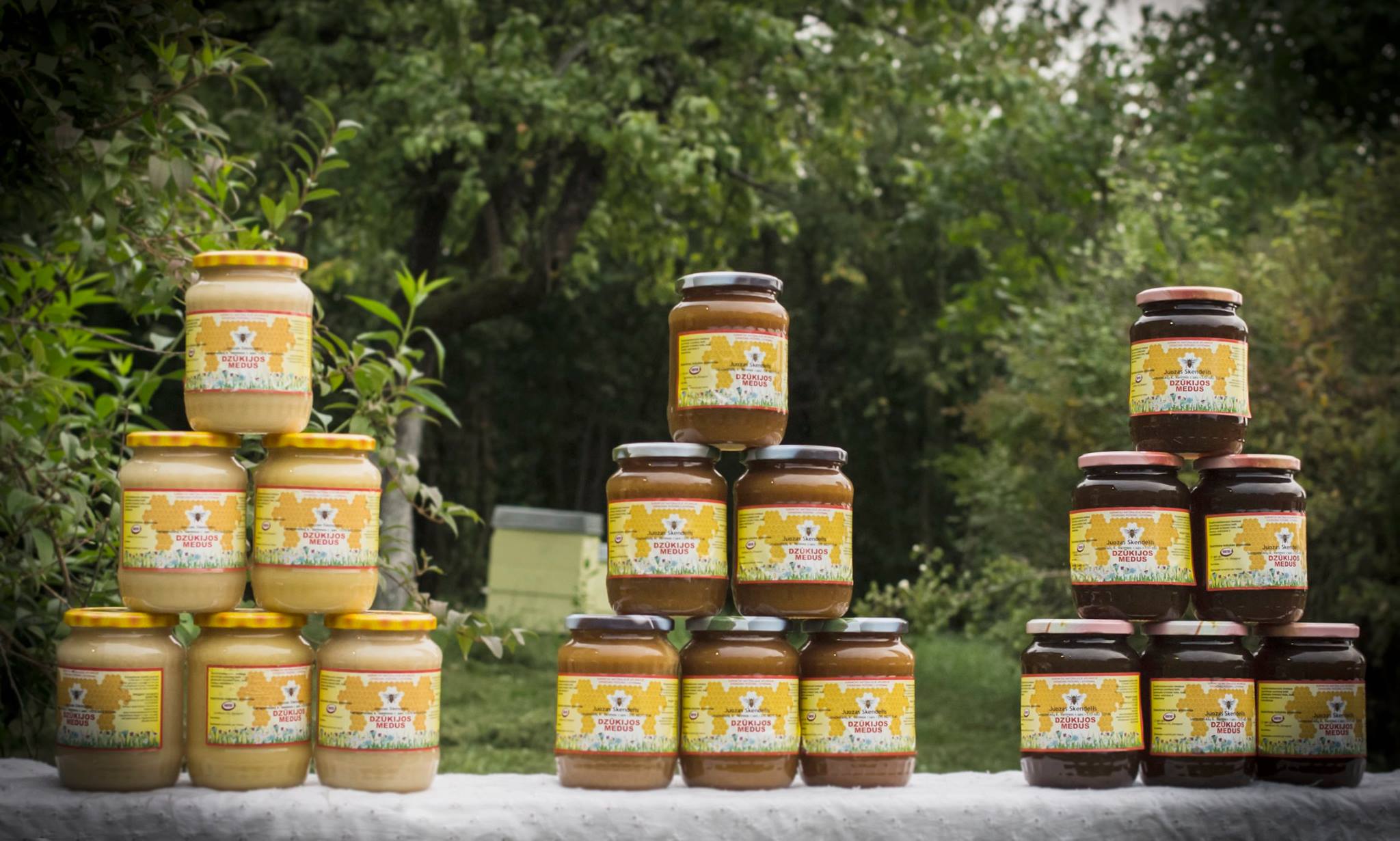 26840872_2068795956687007_5243904461697647981_o