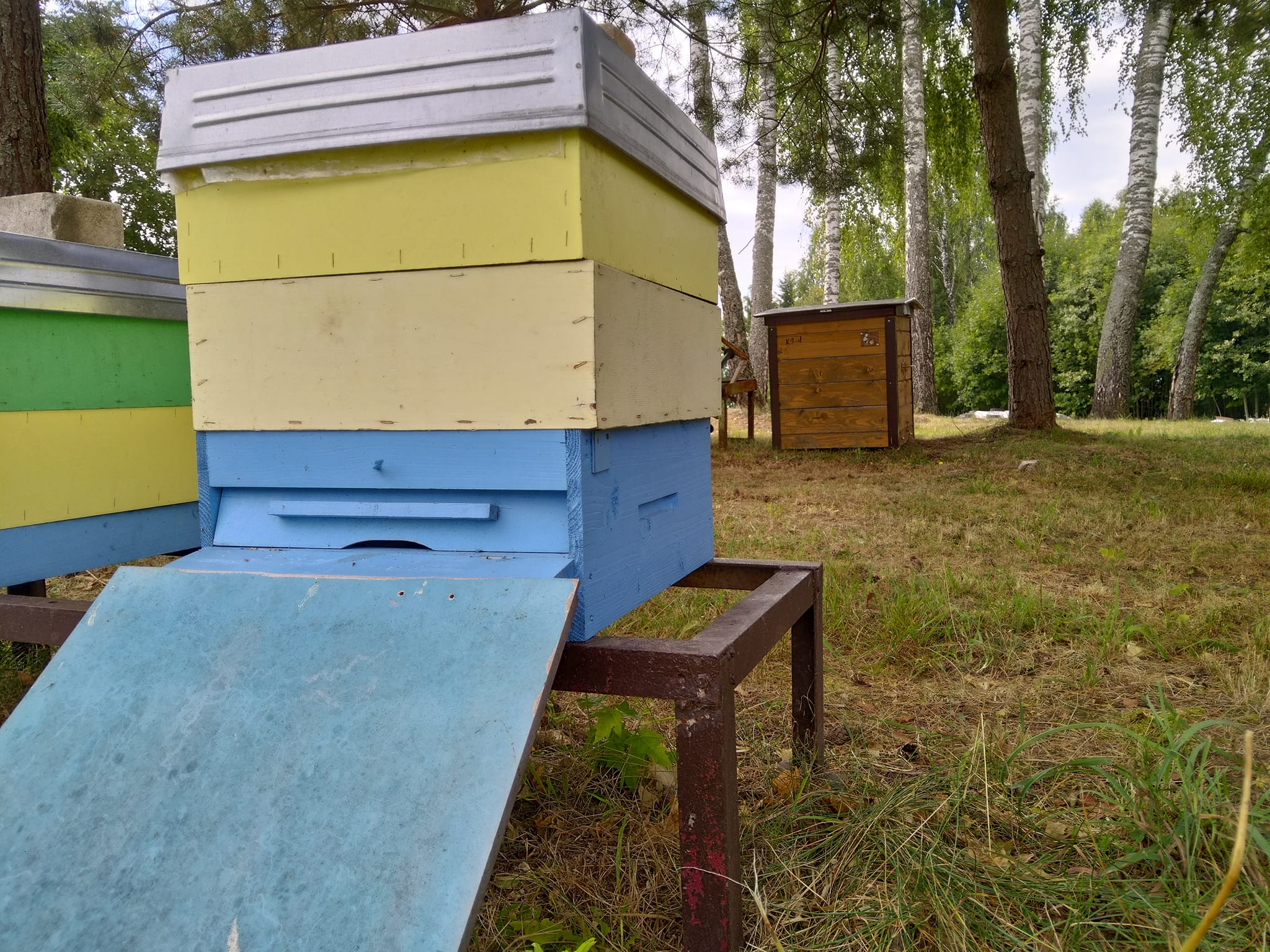 300384334_1112559933022904_8639173550208894409_n