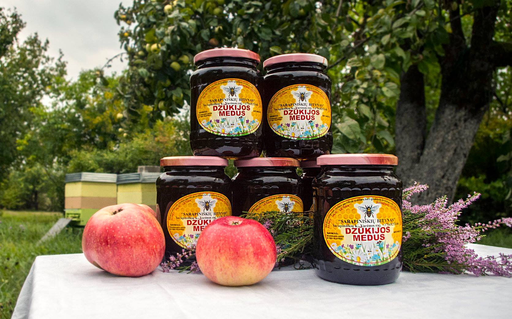 40771213_131044874507753_1589564286693277696_n